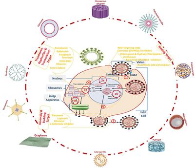 The Perspective on Bio-Nano Interface Technology for Covid-19